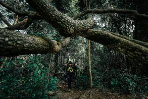 BIB: 
                            <button type="button" onclick="openModal(25706131)" class="btn btn-primary btn-sm float-right btn-popup" data-toggle="modal" data-target=".modal-high-quality">
                        <i class="fas fa-shopping-cart"></i> Add to Cart
                    </button>
                                            <button type="button" onclick="isThisMe(25706131, true)" class="btn btn-success btn-sm float-right btn-popup btn-isme hidden" data-toggle="tooltip" data-placement="bottom" title="นี่คือรูปของคุณใช่ไหม คลิกที่นี่เพื่อเอาเข้าอัลบั้ม">
                        <i class="fas fa-plus"></i> Add to album
                    </button>
                    <button type="button" onclick="isThisMe(25706131, false)" class="btn btn-warning btn-sm float-right btn-popup btn-isnotme hidden">
                        <i class="fas fa-ban"></i> Remove from album
                    </button>